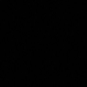 Meet your Posher, Ava